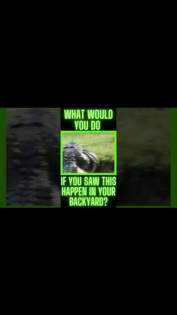 What Would You Do If You Saw This?