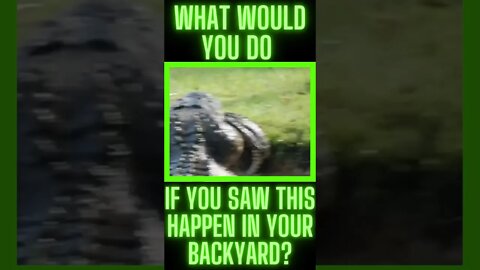 What Would You Do If You Saw This?