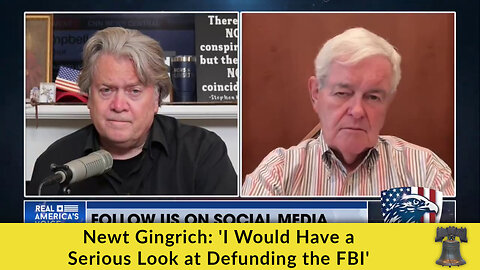 Newt Gingrich: 'I Would Have a Serious Look at Defunding the FBI'