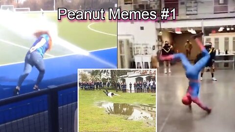 Peanut Memes #1