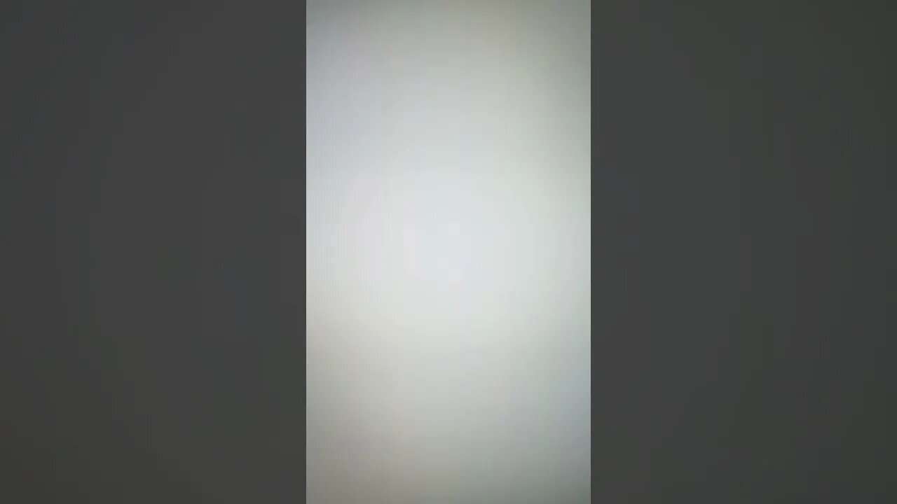 True Freeman and Ms Donna