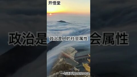 一句话开悟20220818