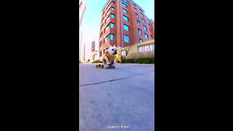 Skatedog 7