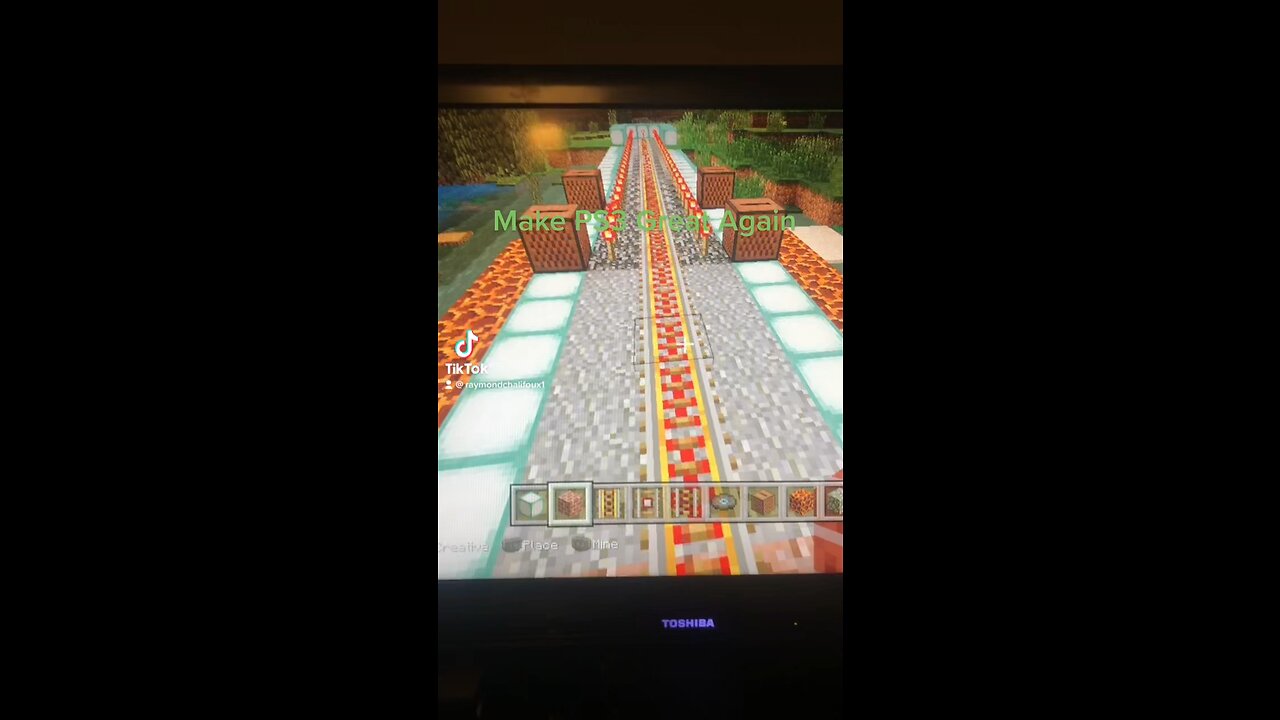 Minecraft PlayStation 3