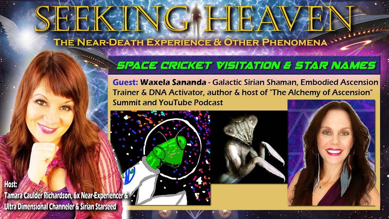 “Space Cricket Visitation & Star Names” – Guest, Waxela Sananda - Galactic Shaman