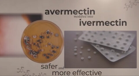 The Ivermectin Story: A Short Film from the FLCCC