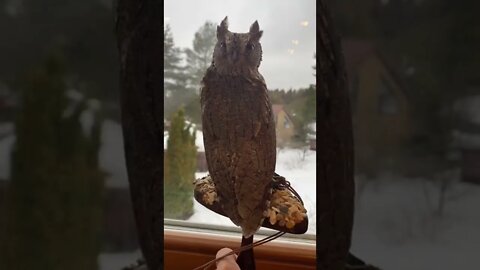 360° Rotation