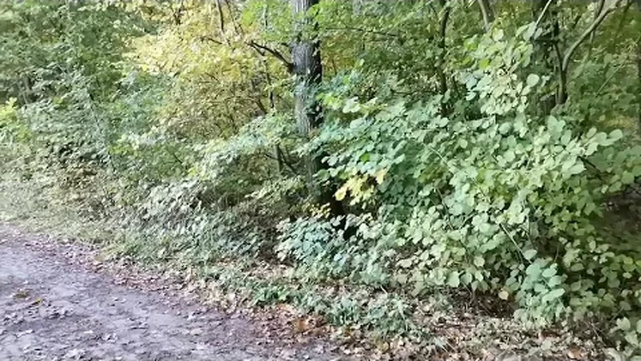 no to ... wybieram ...