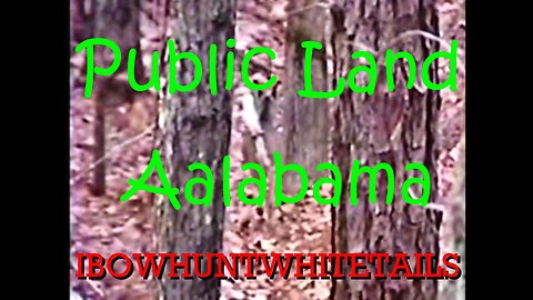 14. Public Land Alabama