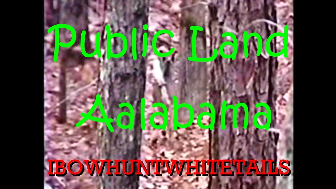 14. Public Land Alabama
