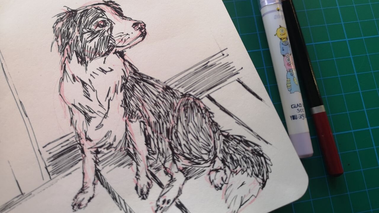 Quick pup sketch|| EPISODE 27