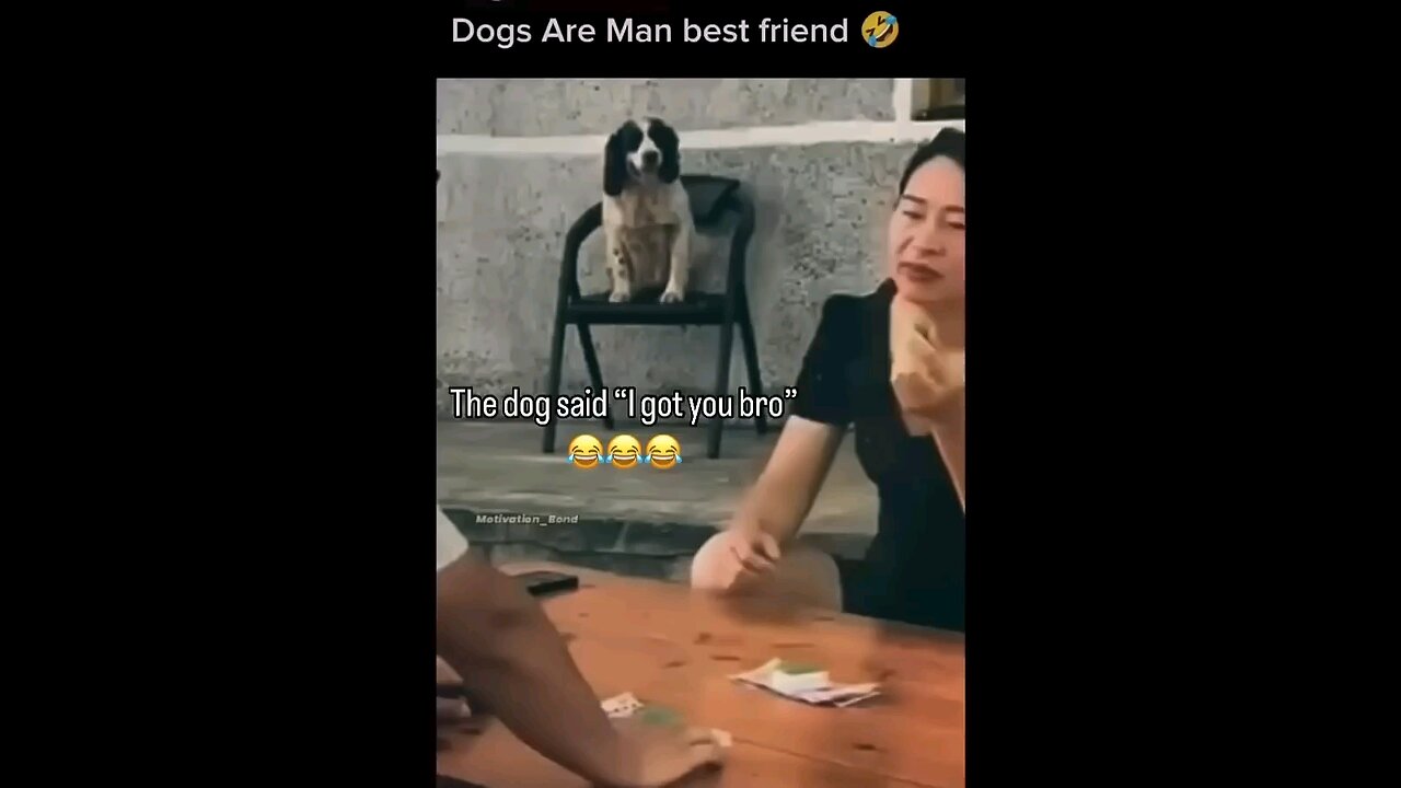 dog is man best friend