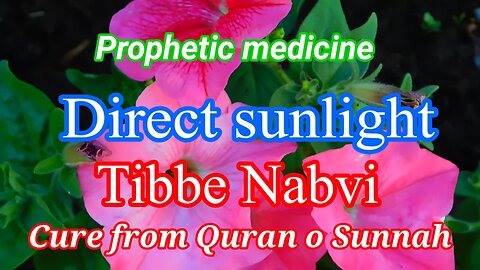 Tibbenabvi, Prophetic medicine, sunlight
