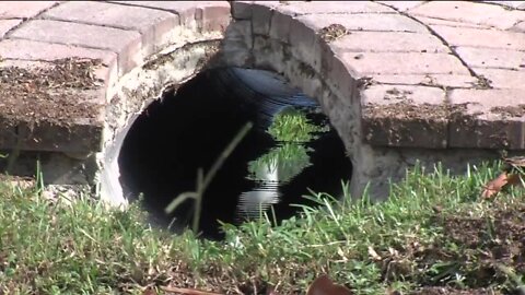 Charlotte County applying for FEMA grant to look at possible flooding solutions
