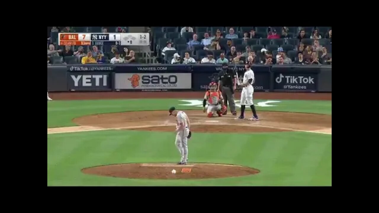 Yankee Stadium security chases a cat around the field for nearly four minutes and never gets its 😹