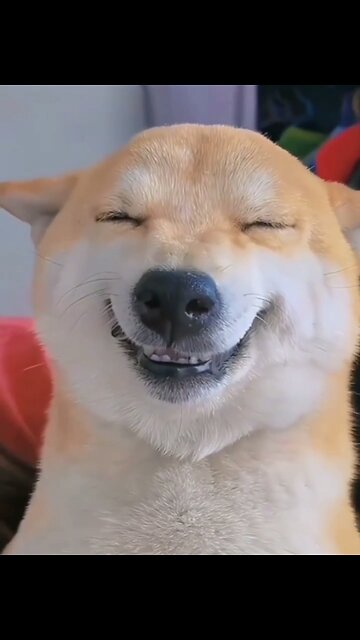 Bet...U can't watch it without smiling 🙂🤗