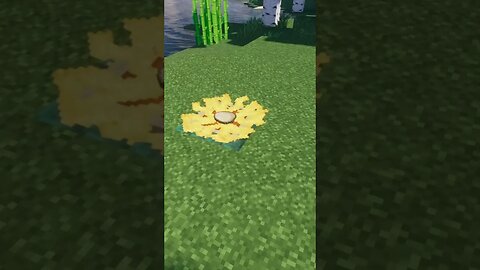 Realistic Bird Nest in Minecraft! 🐣#shorts