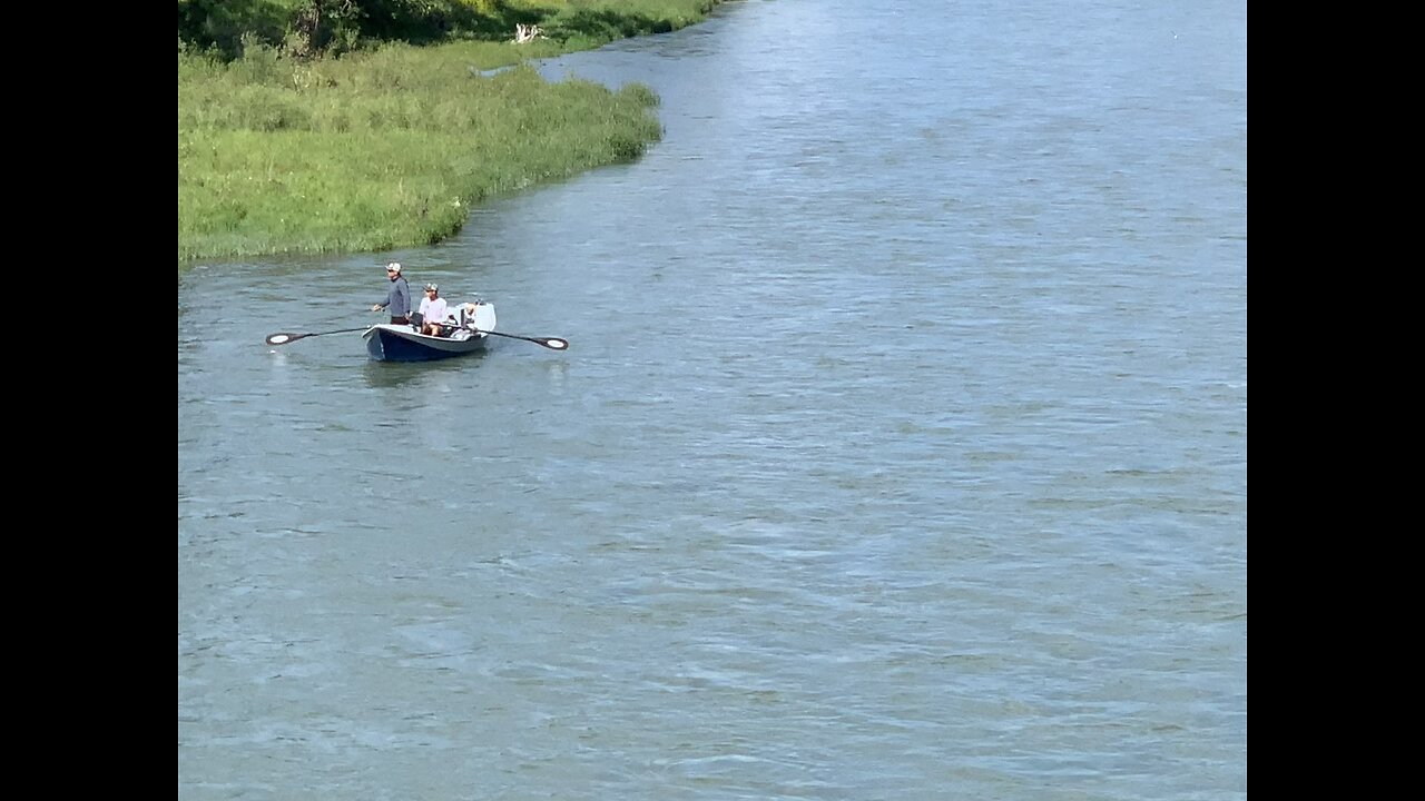 Spotted them fishing on a boat at the bow river