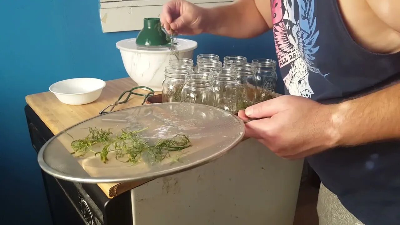 Pickled Dill Red Onions #canning #prepping #preparation #preparedness #prepare