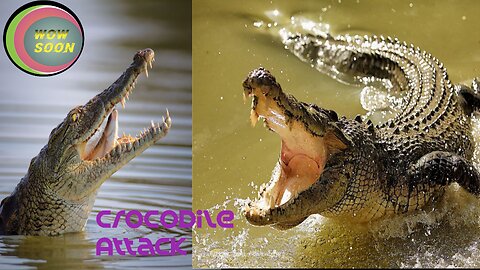 Scariest Crocodile Encounters So Far in 2023