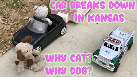 Cat and Dog Break Down in Kansas