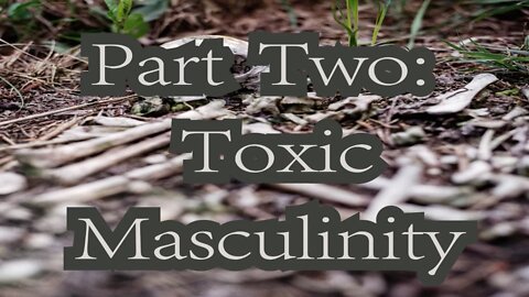 The Everyday Hatred of Men: Part Two, Toxic Masculinity