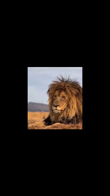 ۲۱ اوت ۲۰۲۲