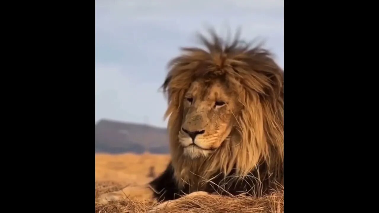 ۲۱ اوت ۲۰۲۲