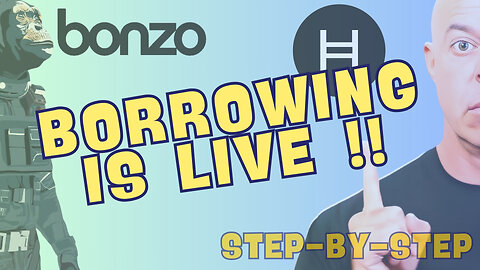 Step-by-Step Crypto Loan Tutorial on Bonzo Finance: Avoid Getting Wrecked!