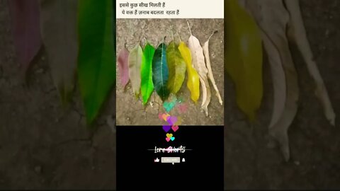 motivational Quotes Intresting Facts #shorts #ytshorts #leaves