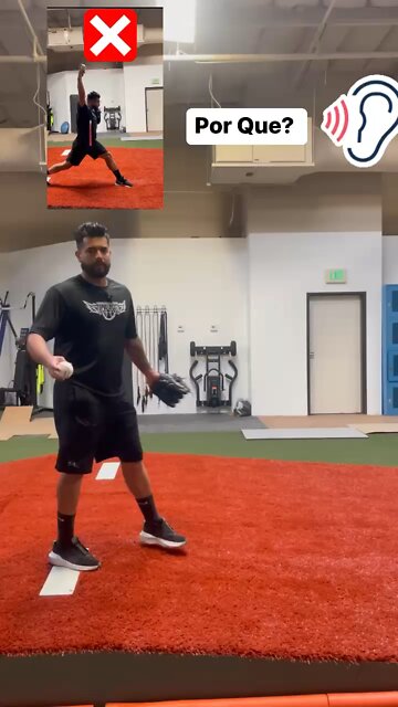 ❗️Explicación Tronco❗️