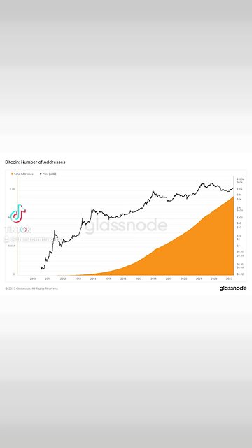 #Bitcoin doesn't look dead to me!🚨