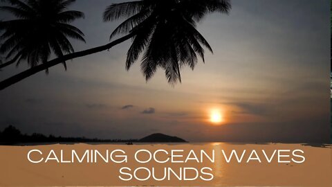 🌊 Calming Ocean Waves | Relaxation beach sounds for sleep and calm