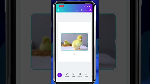Canva Background Remover | Canva Mobile App