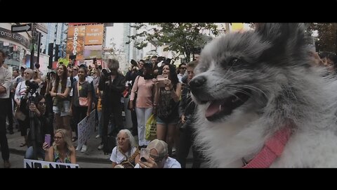 FREEDOM RALLY - TORONTO
