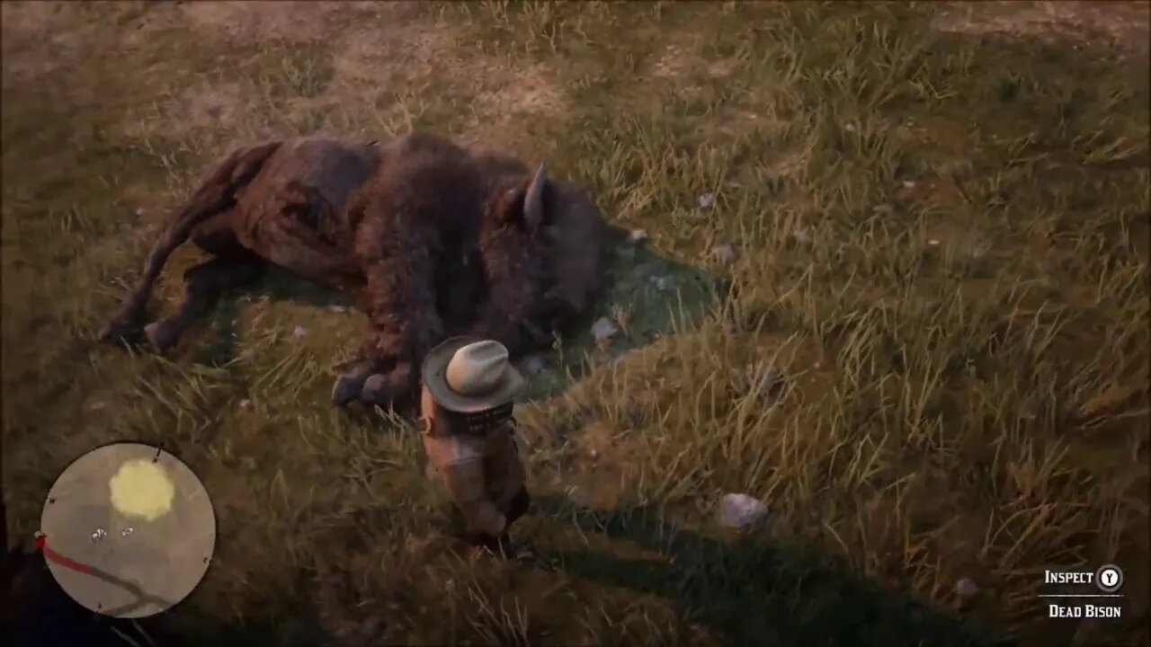 Punishing Poachers Who Are Killing Buffalo And Letting Them Rot Red Dead Redemption 2 Episode 20