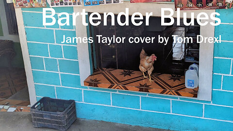 Bartender Blues (James Taylor) - Cover Tom Drexl