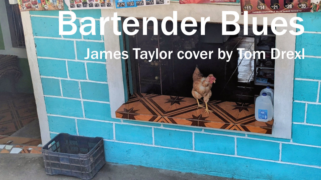 Bartender Blues (James Taylor) - Cover Tom Drexl