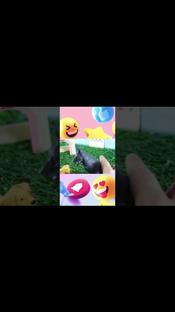 shorts cachorrinhos #2