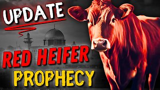 I Asked the EXPERT About the Prophetic Red Heifer Ceremony Exclusive Red Heifer Update