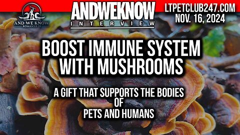 11.16.24: Miracle MUSHROOMS for SUPPORTING the IMMUNE SYSTEM, Amazing Testimony, Pets/Humans, PRAY!