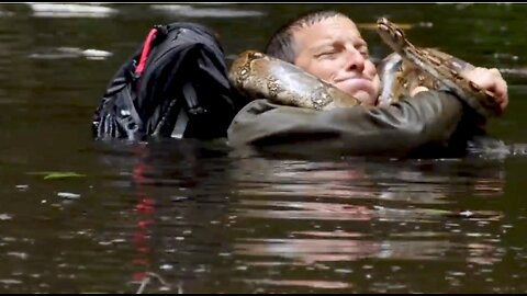 Bear's WILDest Moments Animals on the Loose: A You vs Wild Movie 😮😱👍।।