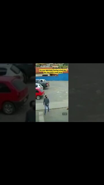 He was definitely having a bad day, the dog didn't even stop #dog #road #running