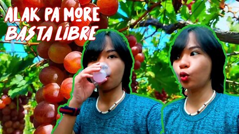 free taste sa elyu
