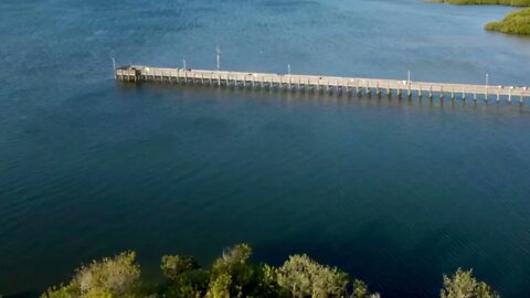 Anclote Gulf Park Dolphin