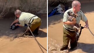 Police officer rescues dog trapped in icy river