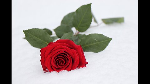 Take it as red?