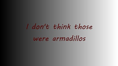 I don’t think those were armadillos