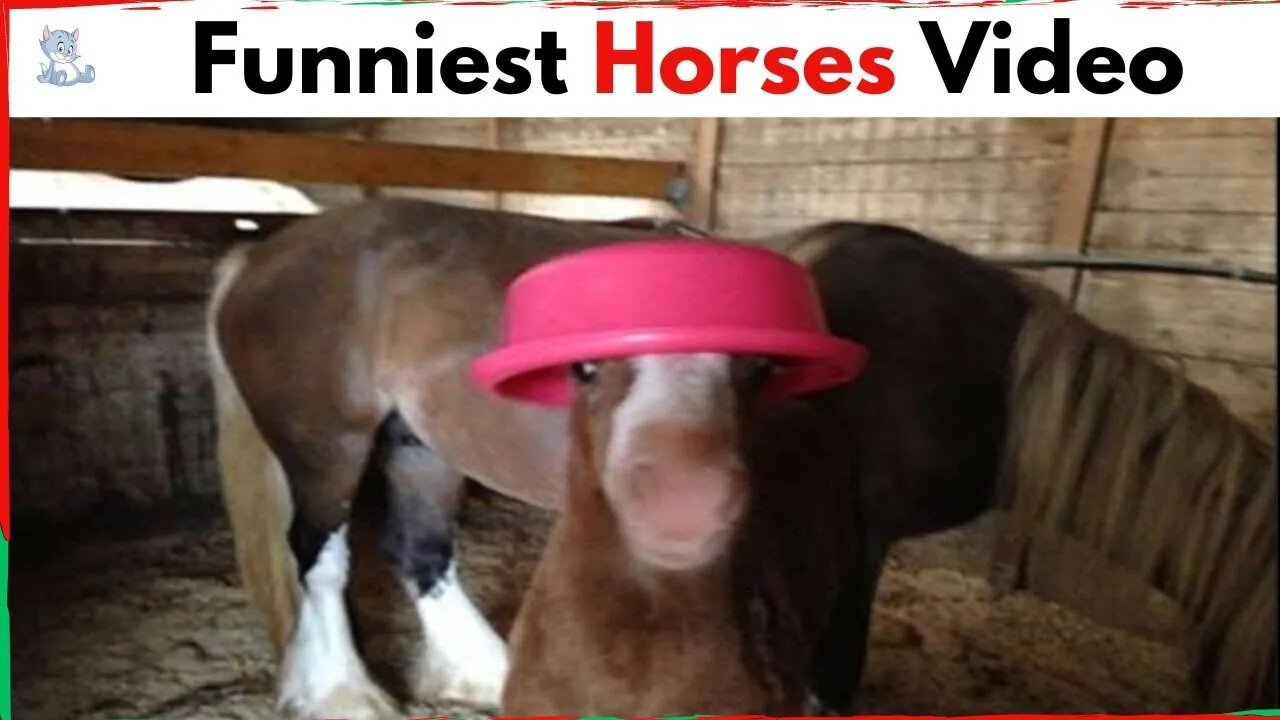 The Funniest Horses Video 🤣 Best Compilation! #3