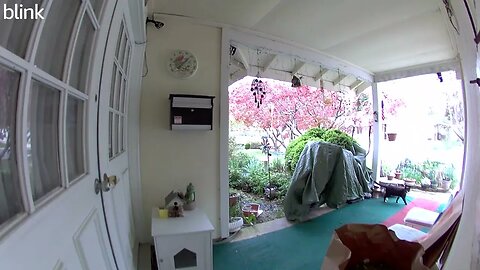NORTH_VIDEO_DOOR_BELL_2023-04-08T13_25_45-0400.mp4